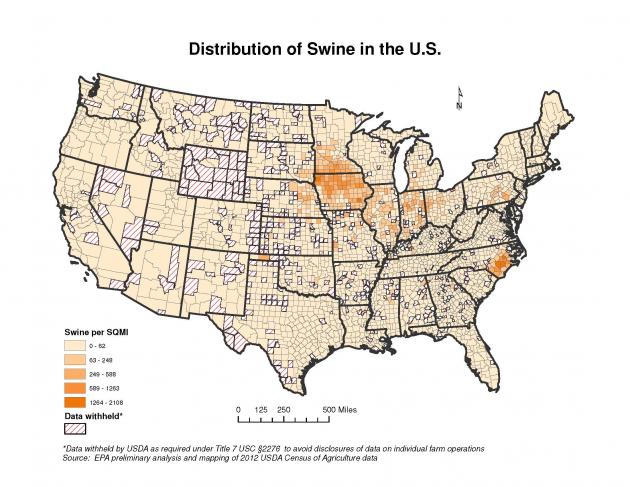 map showing where pigs are located in the US