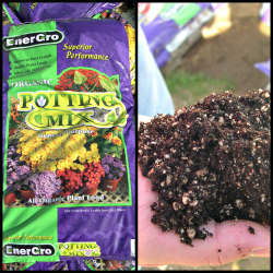 Organic potting soil made with digestate