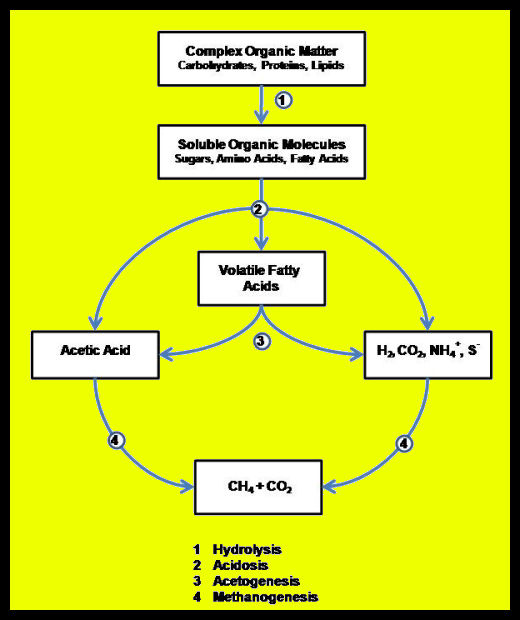 Processing Biomass Into Biogas – Livestock and Poultry Environmental  Learning Community