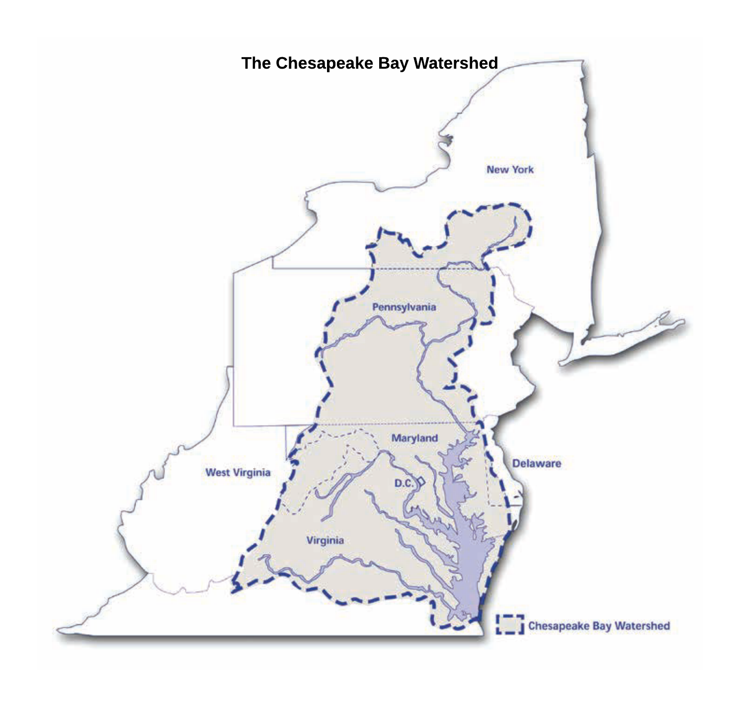 Chesapeake Bay Watershed Map