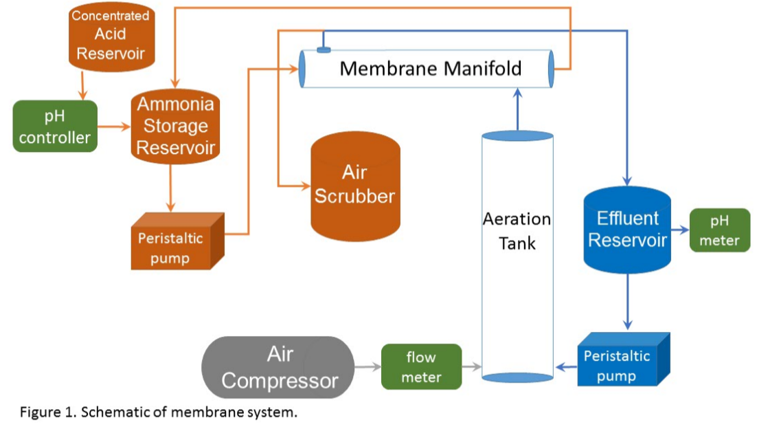 Figure 1. Schematic of membrane system
