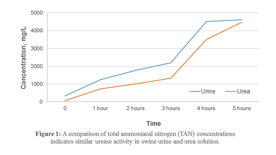 Figure 1: A comparison of total ammoniacal nitrogen (TAN) concentrations indicates similar urease activity in swine urine and urea solution