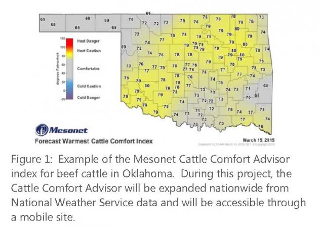 Figure 1:  Example of the Mesonet Cattle Comfort Advisor index for beef cattle in Oklahoma