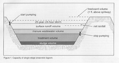 Figure 1. Single stage lagoon capacity