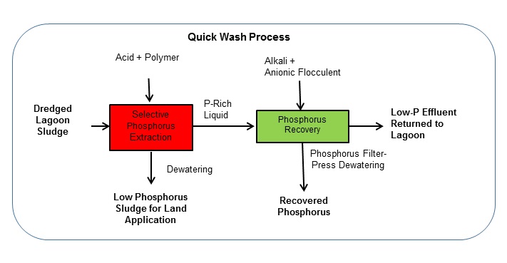 Chart of Quick Wash Process