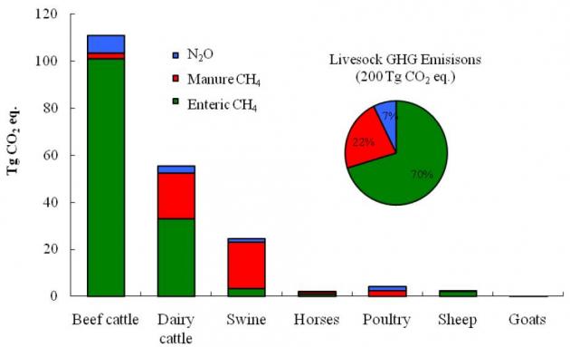 Greenhouse gas emissions from livestock in 2008