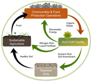 nutrient life cycle