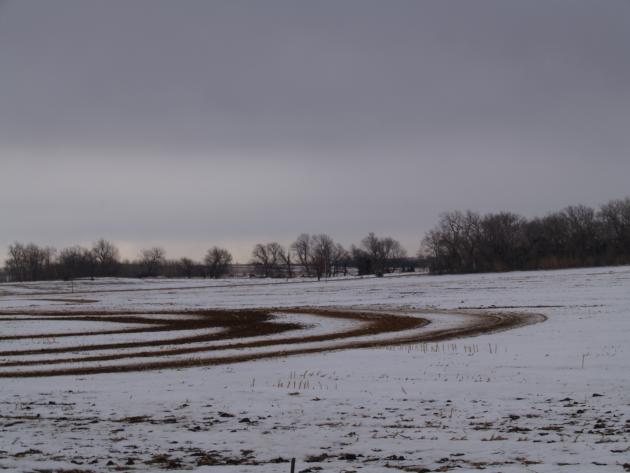 manure application on snow covered field