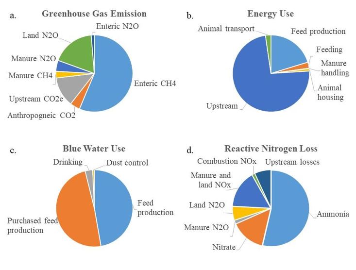 Distribution of the major sources for each environmental footprint.