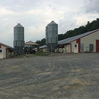 poultry barns with feed bins