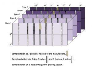Figure 2. Current research explored nitrogen distribution through 5 dates in the growing season to develop both a spatial and temporal appreciation of nitrate distribution and efficiencies.