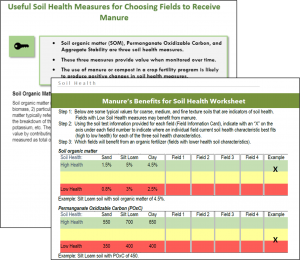 preview of factsheets and worksheets