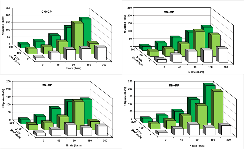Figure1. Annual ryegrass N uptake in response to N and P under the different nutrient combinations. CN, conventional nitrogen, CP, conventional phosphorus, RN, recovered nitrogen, RP, recovered phosphorus. (Paye et al., 2024a)