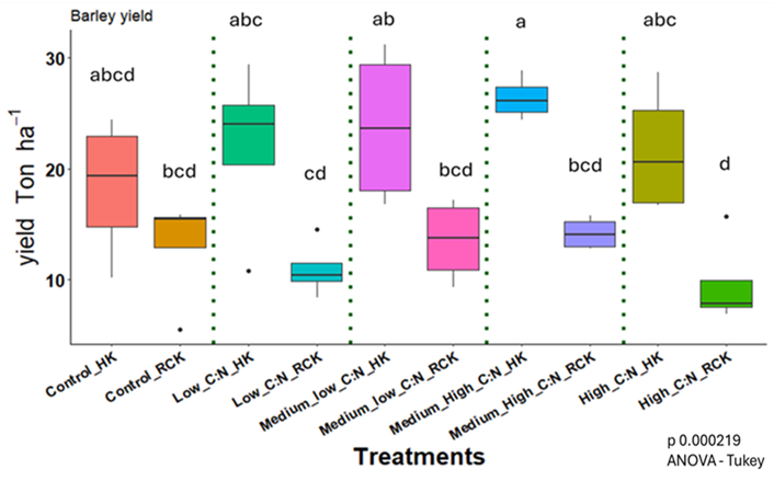 Fig. 2. Barley yield in 2024 following different cover crops based on their C:N stoichiometry. Lowercase letters above columns indicate differences at P < 0.05