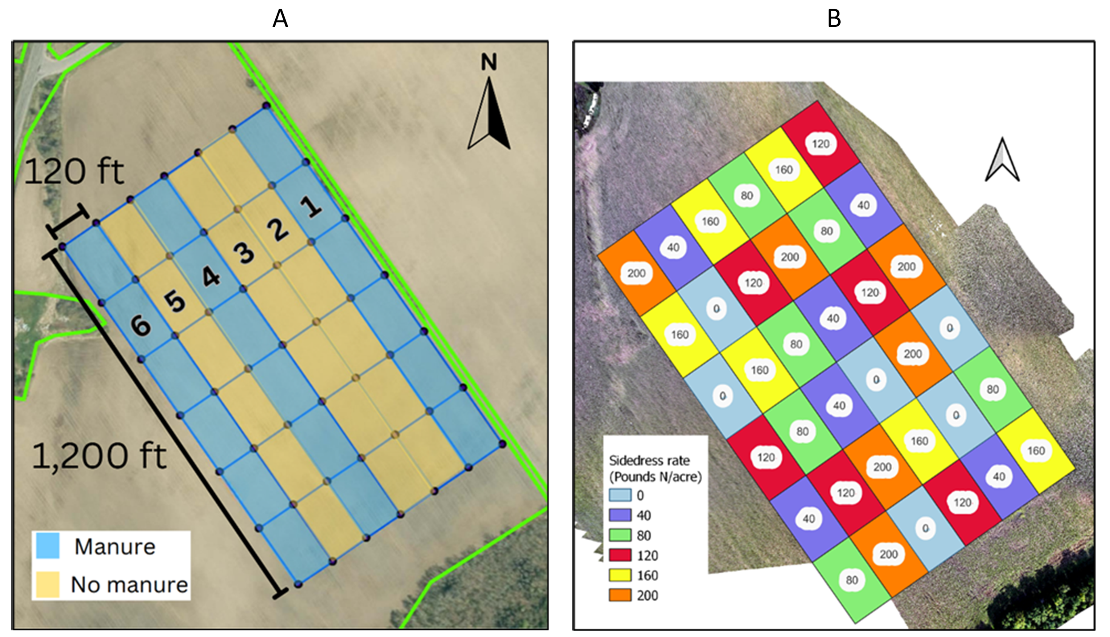 Figure 2. Layout of a Value of Manure study plot. Three strips received manure before planting corn (1a). At the V4-V6 stage each of the six strips received six different inorganic N sidedress rates (1b).