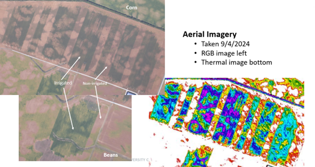 Figure 7: Aerial imagery of field 7 (Top l) and field 8A (Bottom left) from 2024 cropping season.