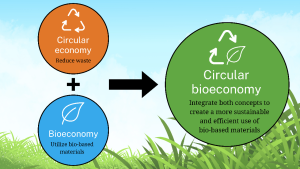 This graphic explains what circular bioeconomy is, a term used often in sustainability research.