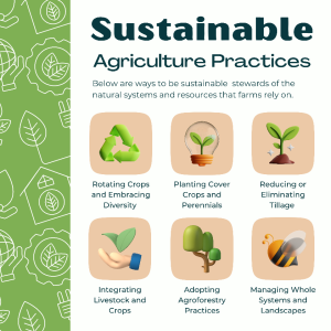 This graphic gives farmers suggestions for how to make their land more sustainable.