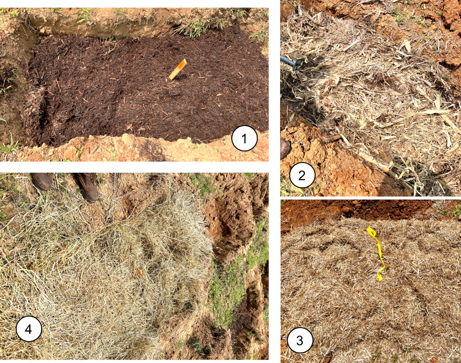 Figure 2. (A) Carbon material after placement in plots: (1) hardwood mulch, (2) corn stover, (3) wheat straw, and (4) fescue hay;